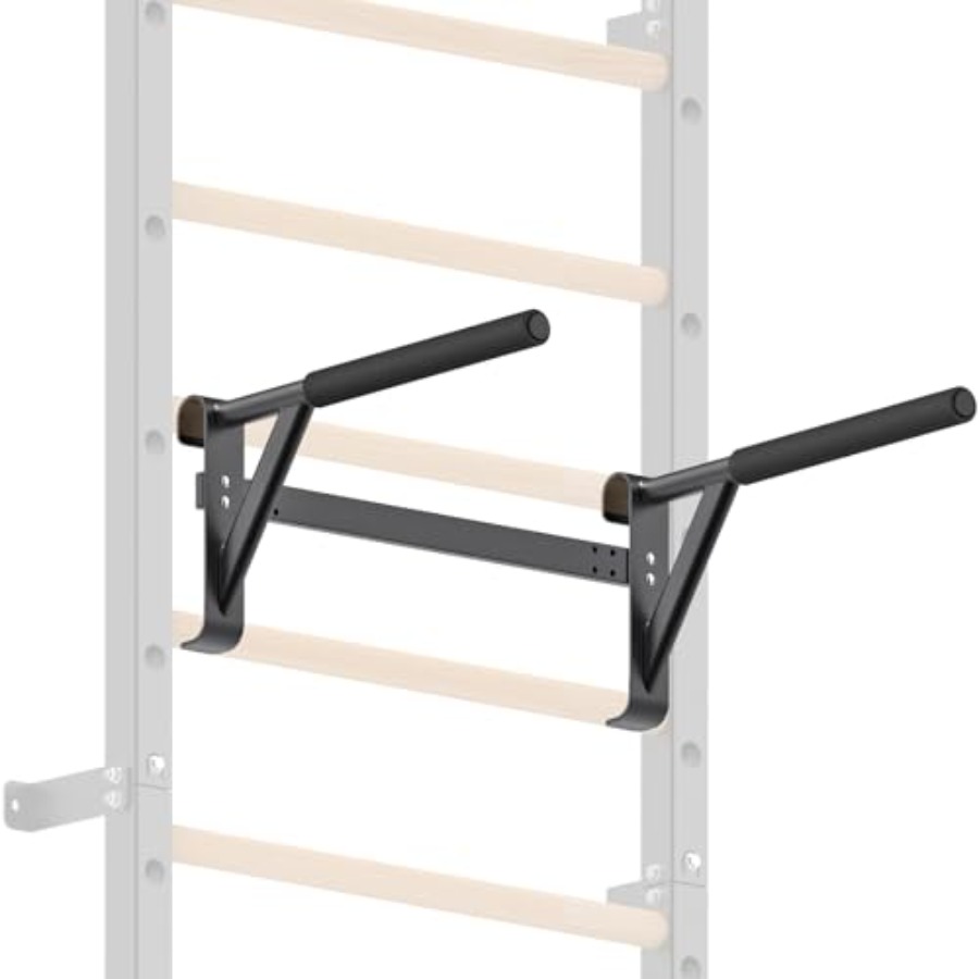 Wall Mounted Gymnastic Stall B - đánh giá và giá Pull Up Bar